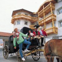 Voorzijde paard en wagen
